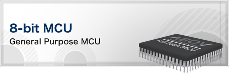 8-bit MCU(General Purpose MCU)