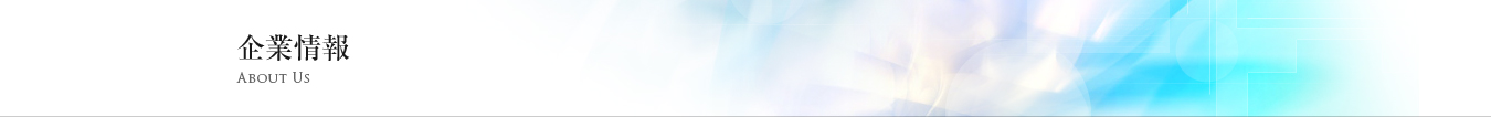 企業情報