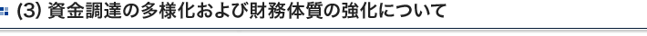 (3）資金調達の多様化および財務体質の強化について