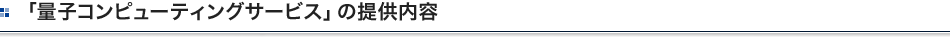 「量子コンピューティングサービス」の提供内容