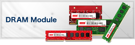 DRAM Module