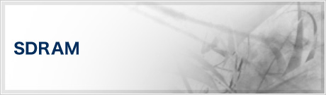 SDRAM