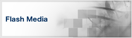 Flash Media
