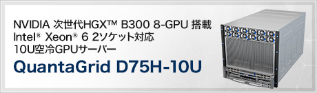 QuantaGrid D75H-10U