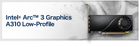 Intel® Arc™ 3 Graphics A310 Low-Profile