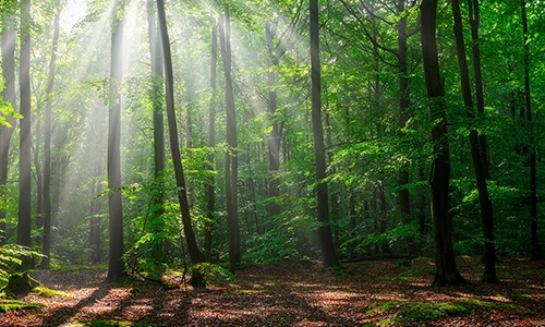 環境方針のイメージ写真